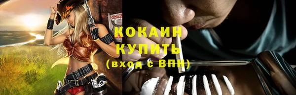 прущие крисы Дмитриев
