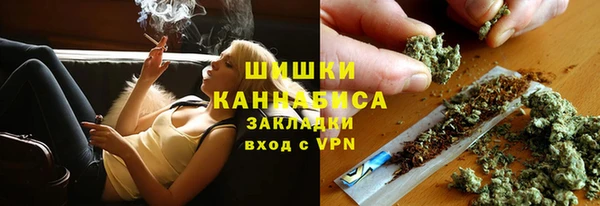 бошки Ельня