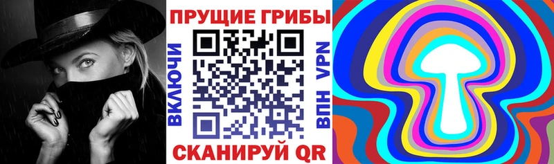 Псилоцибиновые грибы ЛСД  мега ссылка  Дигора 